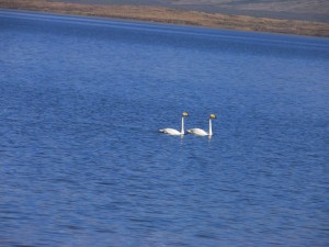 SAMSUNG DIGITAL CAMERA Озеро Джулукуль